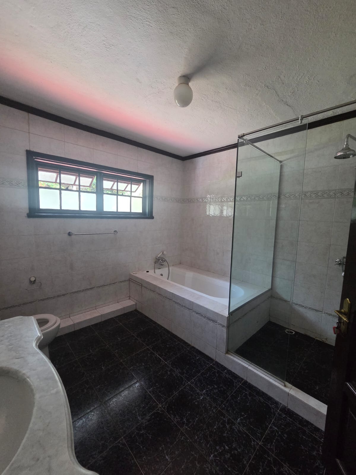 Spacious 4-Bedroom Villa with DSQ for Rent – Riverside