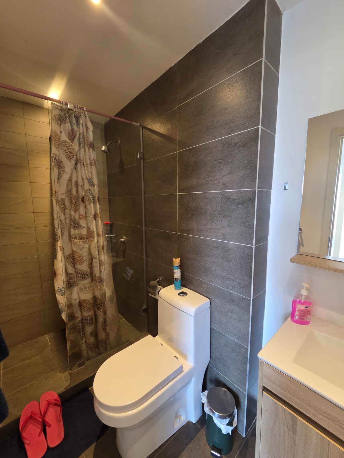 Executive One- bedroom furnished apartment in Lavington