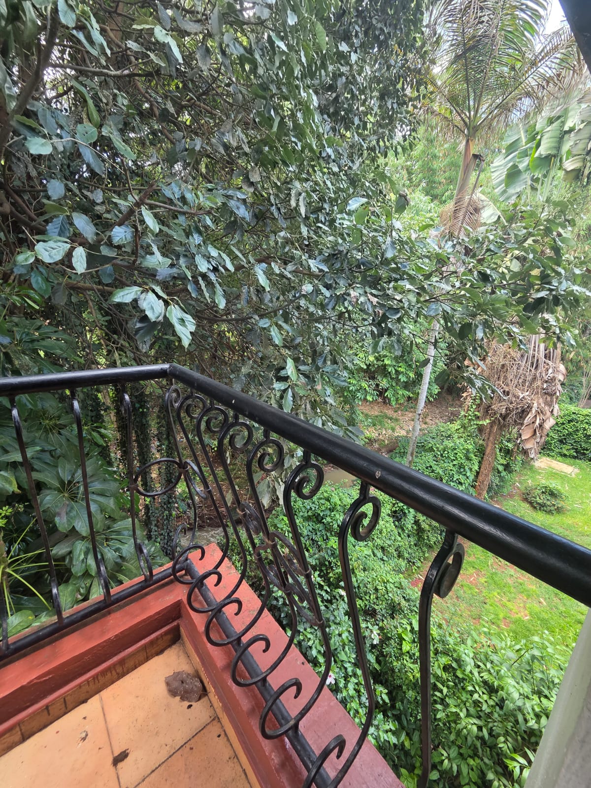 Spacious 4-Bedroom Villa with DSQ for Rent – Riverside